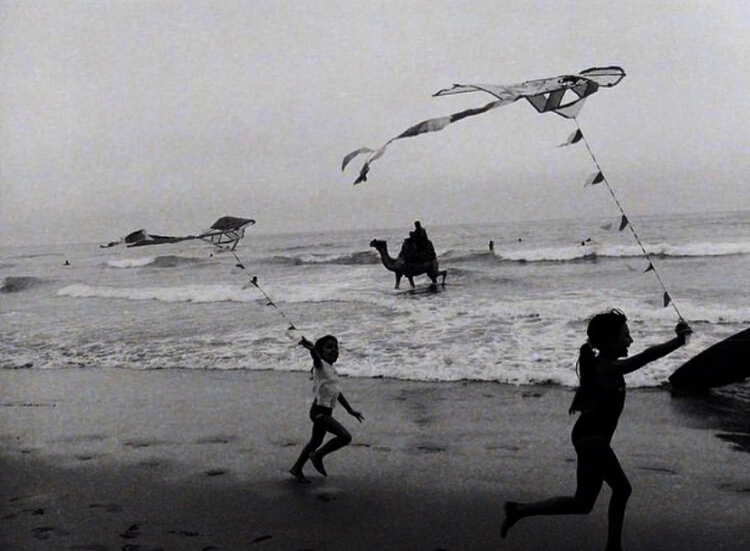 Kites on the beach image
